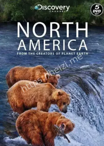 高一女生纪录片