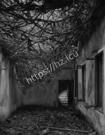 意大利波韦利亚岛